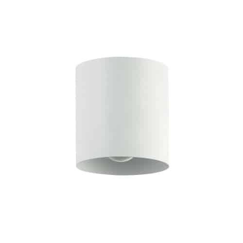 1LT Flush Mount,  MW