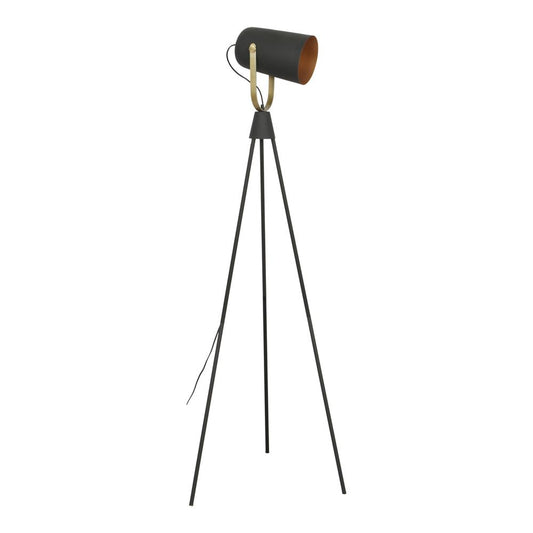 Spotlight Floor Lamp Black