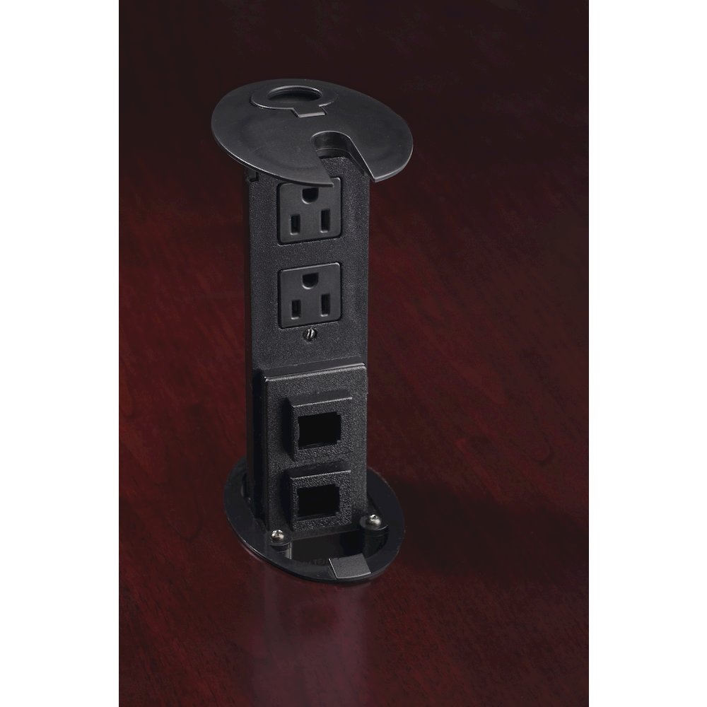 Power and Data Module with 2 Power and 2 Data Outlets (Black)