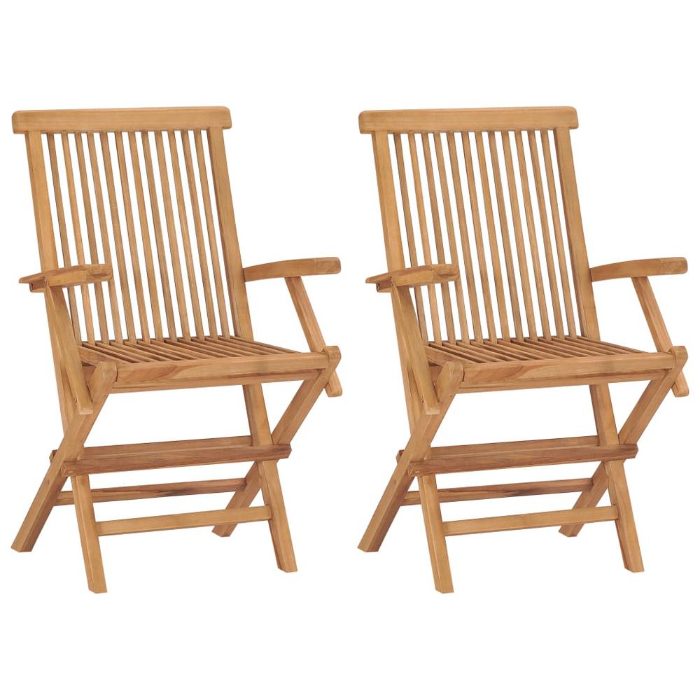 vidaXL Folding Garden Chairs 2 pcs Solid Teak Wood, 41999