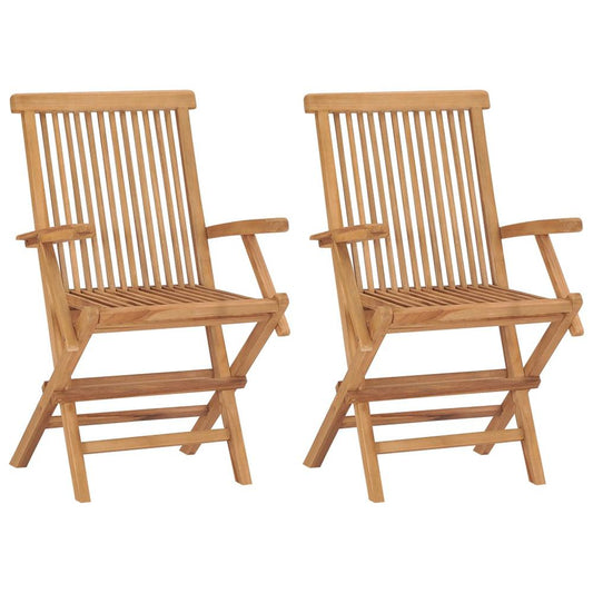 vidaXL Folding Garden Chairs 2 pcs Solid Teak Wood, 41999