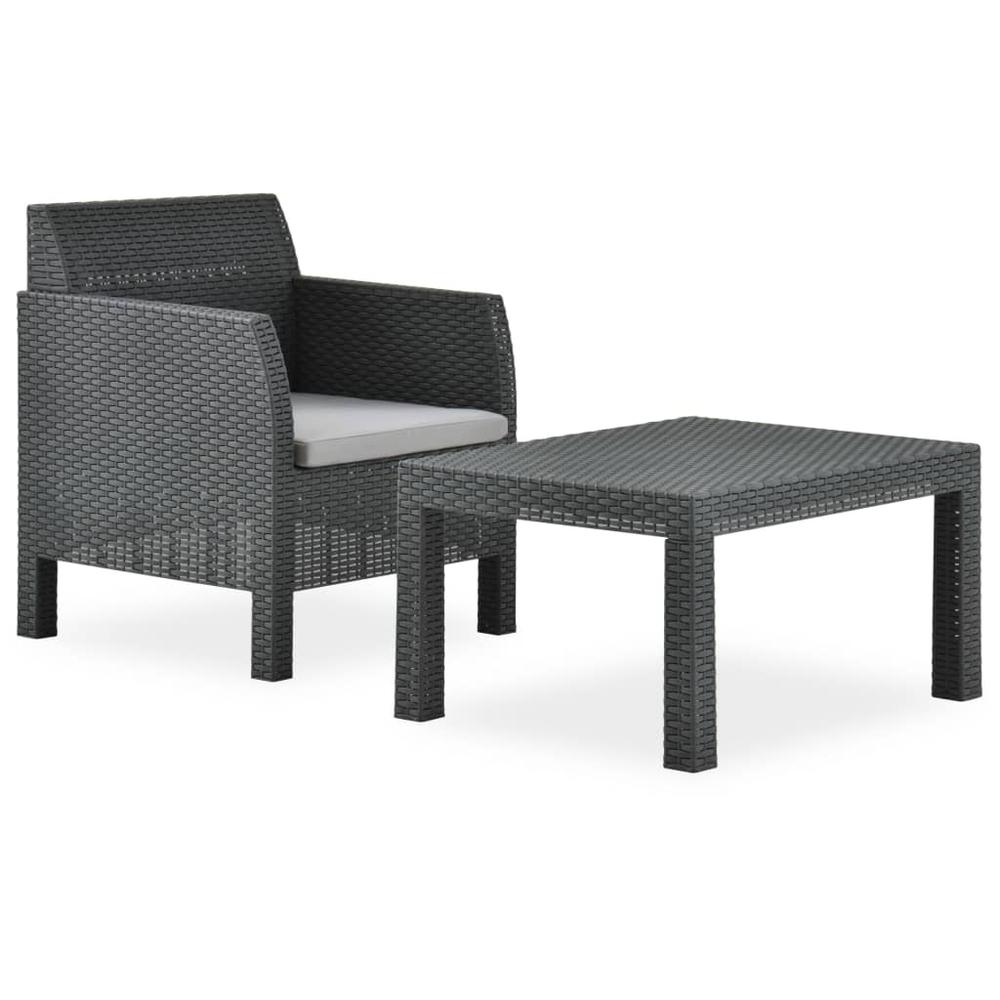 vidaXL 2 Piece Garden Lounge Set with Cushion PP Anthracite 5641