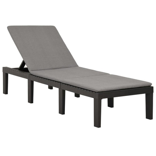 vidaXL Sun Lounger with Cushion Plastic Anthracite