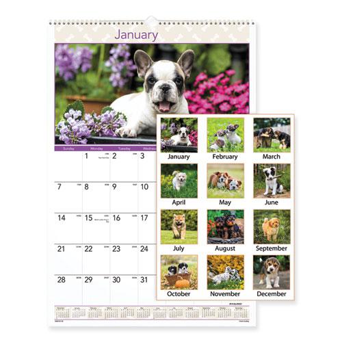 Puppies Monthly Wall Calendar, Puppies Photography, 15.5 x 22.75, White/Multicolor Sheets, 12-Month (Jan to Dec): 2024