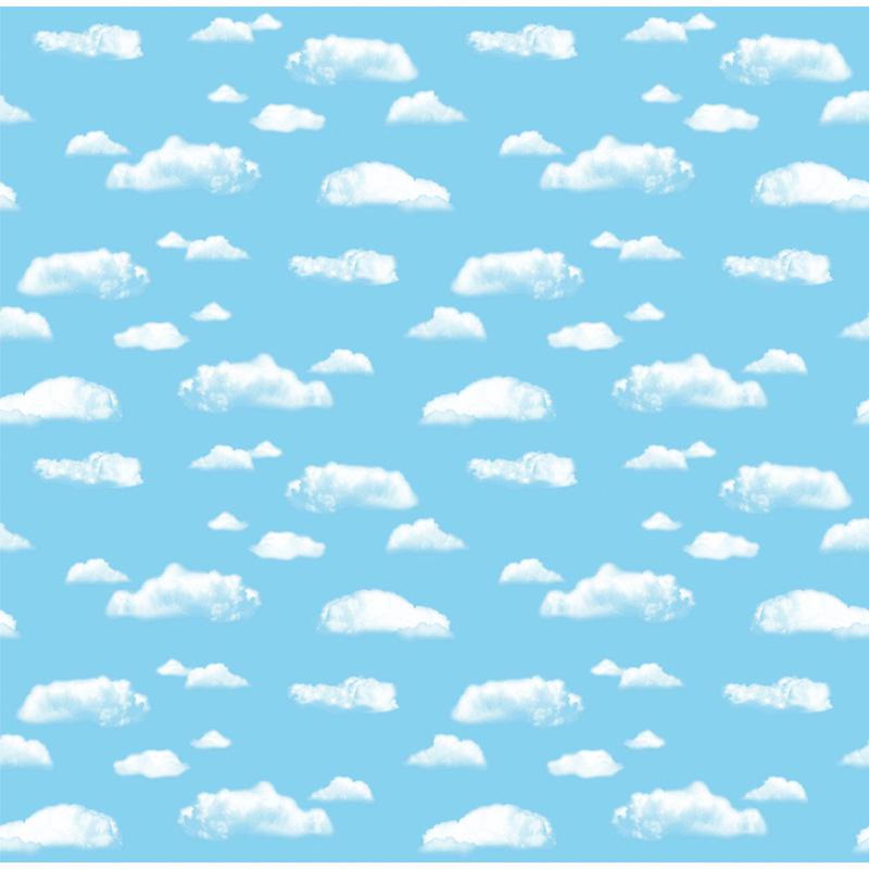 FADELESS 48X12 CLOUD SOLD 4RLS/CTN