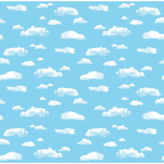 FADELESS 48X12 CLOUD SOLD 4RLS/CTN