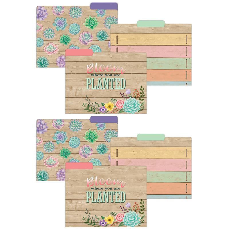 Rustic Bloom File Folders, 2 Packs