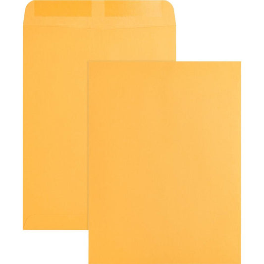 Business Source Kraft Gummed Catalog Envelopes - Catalog - #10 1/2 - 9" Width x 12" Length - 28 lb - Gummed - Kraft - 250 / Box - Kraft