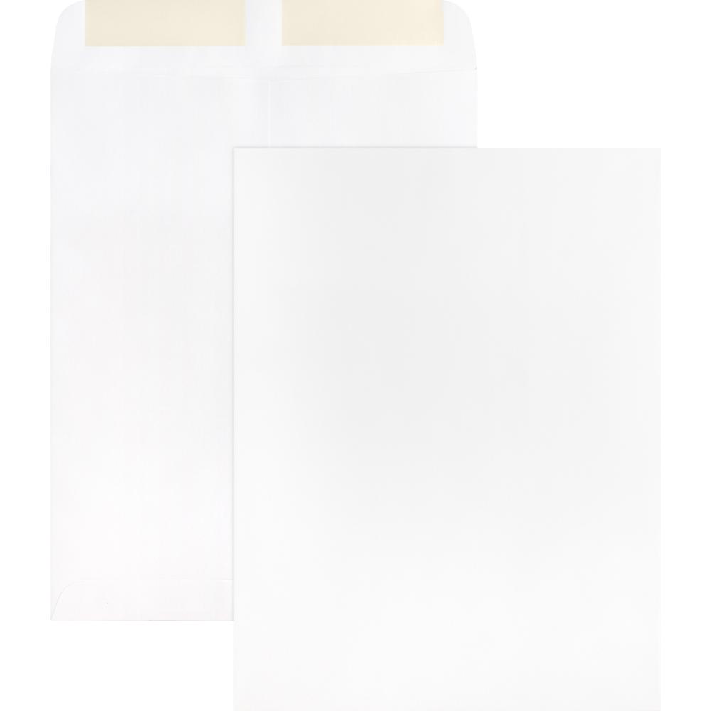 Business Source 28 lb. White Catalog Envelopes - Catalog - #10 1/2 - 9" Width x 12" Length - 28 lb - Gummed - Wove - 250 / Box - White