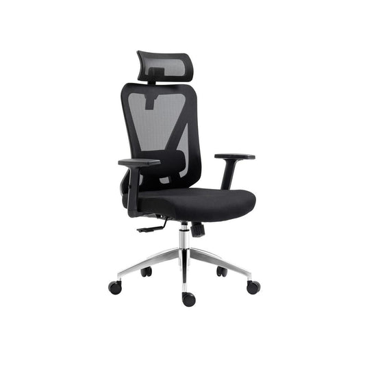 Truly Ergonomic Mesh Office Chair with Headrest & Lumbar Support, Black