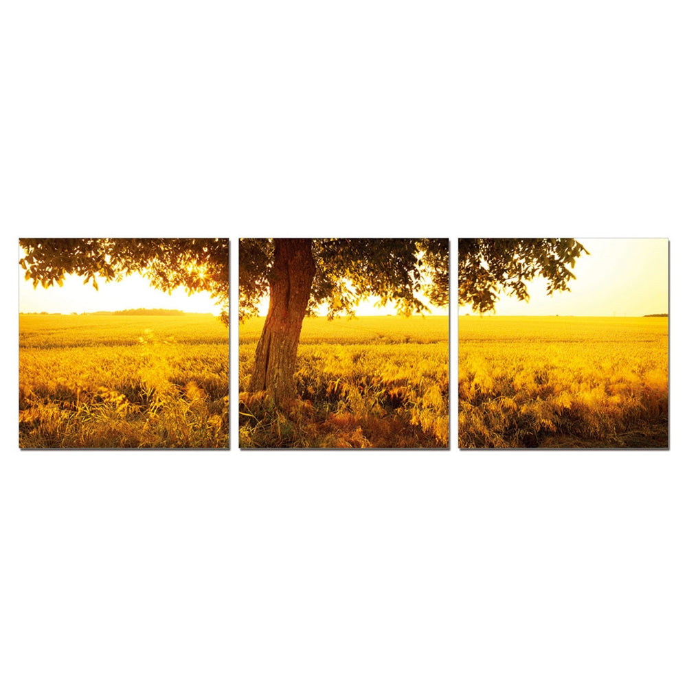 SeniA Wall Mounted Triptych Photography Prints, Africa Sunrise, Set of Three