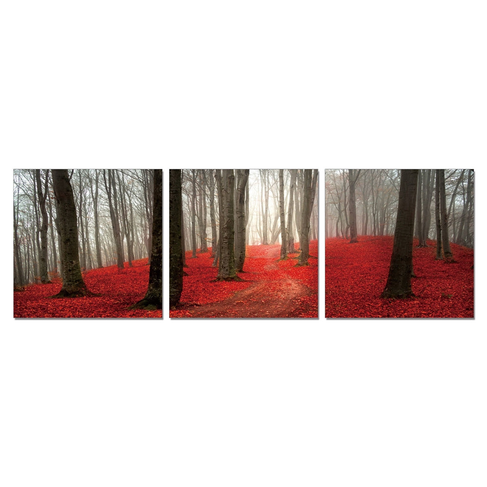 SeniA Wall Mounted Triptych Photography Prints, Dawn Forest, Set of Three