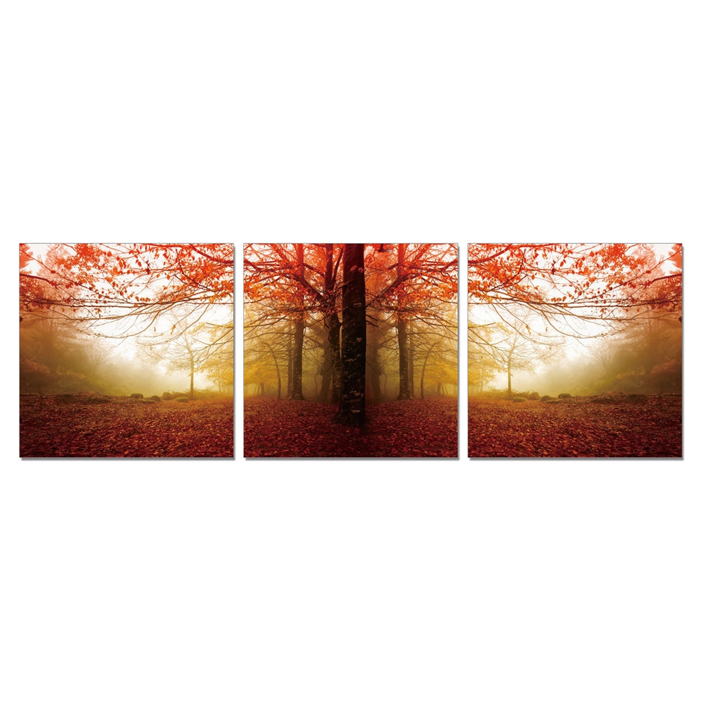 SeniA Wall Mounted Triptych Photography Prints, Autumn Leaves, Set of Three