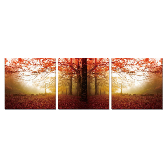 SeniA Wall Mounted Triptych Photography Prints, Autumn Leaves, Set of Three