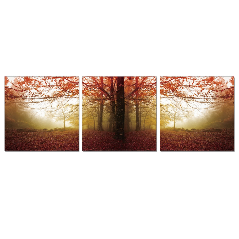 SENIC Autumn Leaves 3-Panel Acrylic Photography, 60 x 20-in