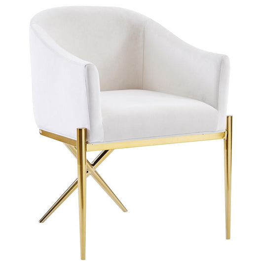 Best Master Dalton Cream Velvet Side Chairs in Gold