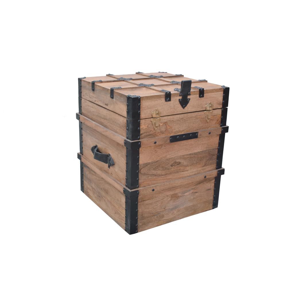 Storage Trunk in Tan/Black