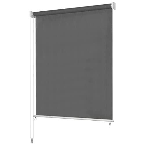 vidaXL Outdoor Roller Blind 94.4"x90.5" Anthracite, 43500