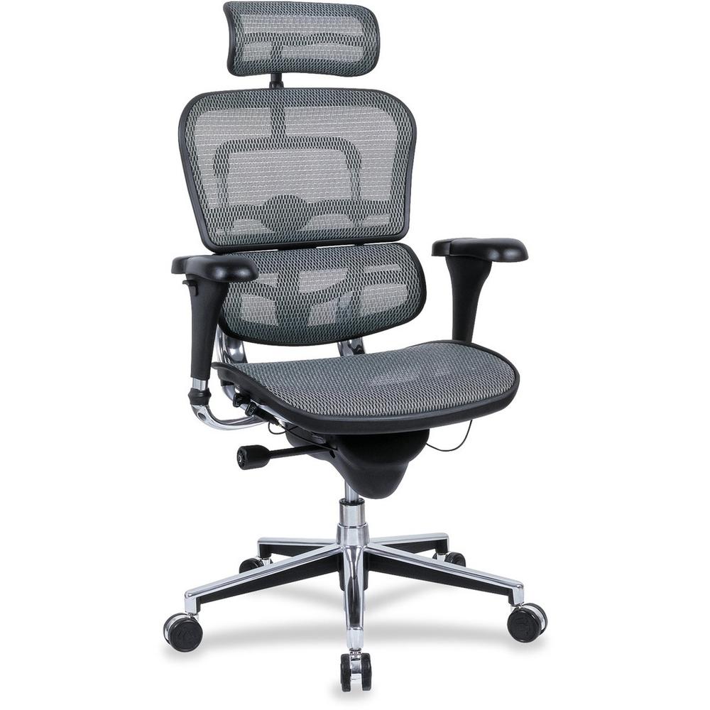 Eurotech ergohuman Mesh Multifunction High Back Executive Chair - Silver Seat - 5-star Base - 1 Each