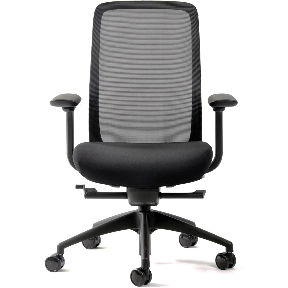 Eurotech Vera Mesh Back Executive Chair - Black Fabric Seat - Mesh Back - 5-star Base - Black - 1 Each